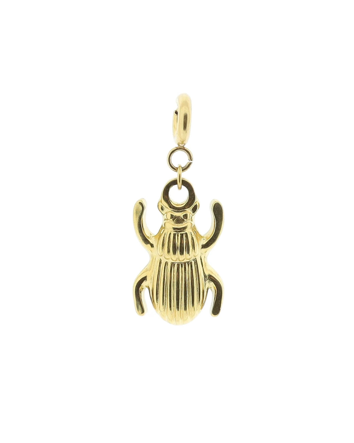 Hanger Beetle