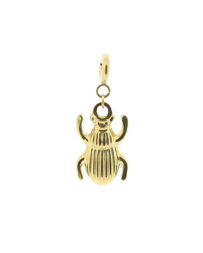 Hanger Beetle