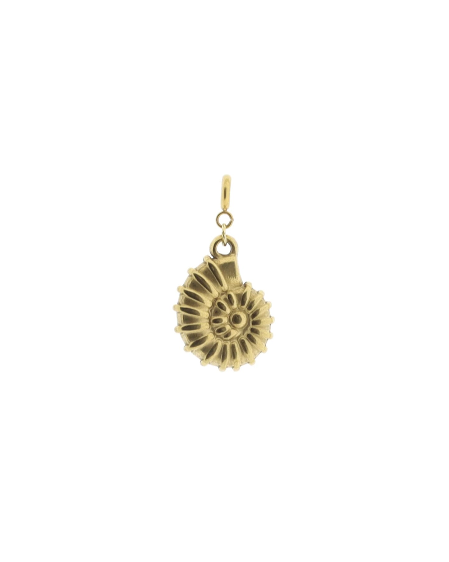 Hanger schelp Ammoniet