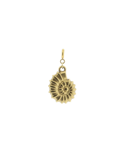 Hanger schelp Ammoniet