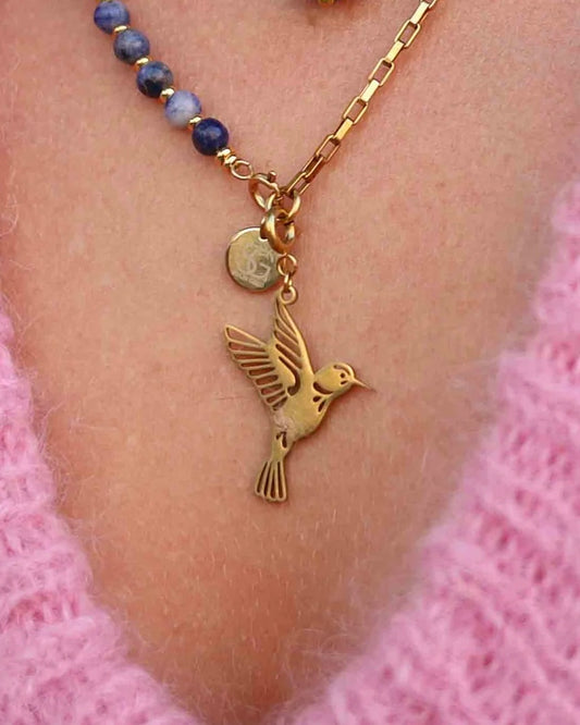 Hanger Hummingbird
