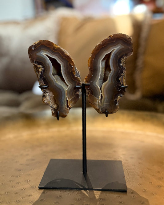 Agaat geode paar vlinder