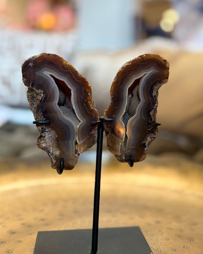 Agaat geode paar vlinder